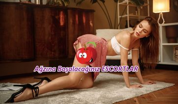 Ataşehir Oral Seks Yapan Escort